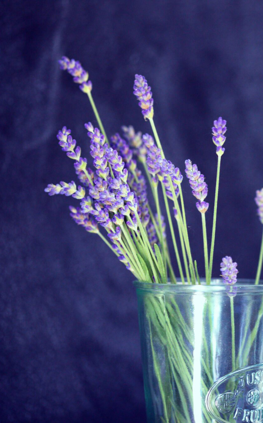 Altheia - réflexologie et naturopathie à Corbeil-Essonnes (91100) - lavande dans un pot de verre